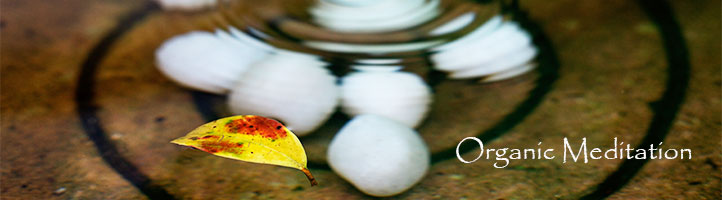 Organic Meditation uses no chemicals